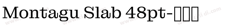 Montagu Slab 48pt字体转换